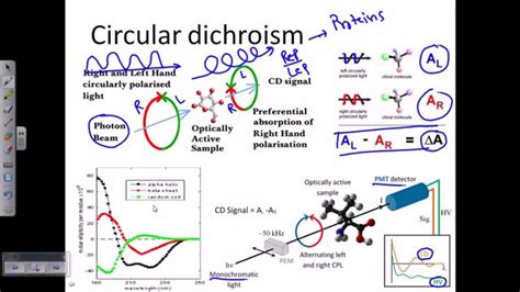 Circular dichroism - YouTube