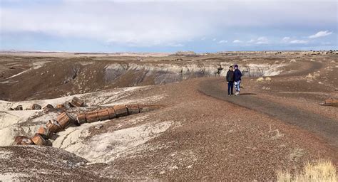 Exploring The Crystal Forest At Petrified Forest National Park