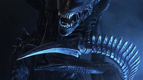 Xenomorph Wallpaper