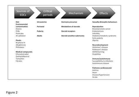 Summary of the common sources and mechanisms of endocrine disruptors in... | Download Scientific ...