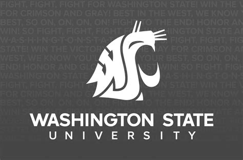 A victory beyond the field: Cougs triumph in inaugural WSU & UW Food Pantry Challenge | WSU ...