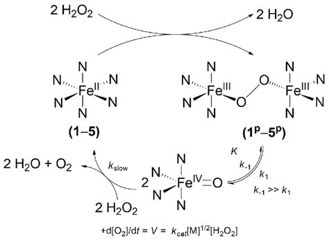 Scheme 3. Schematic mechanism of the iron-mediated disproportionation ...