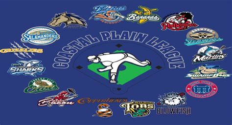 Coastal Plain League Announces Pace of Play Measures Starting in 2018