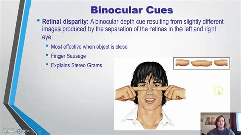 Describe Monocular And Binocular Depth Cues at Scott Hernandez blog