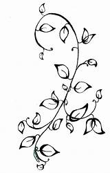 Vine Coloring Pages At GetColoringscom  Free Printable Colorings sketch template