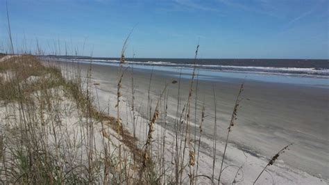 Sapelo island | Travel destinations, Travel, Island