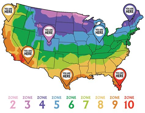 How do I find my grow zone? – Ferry-Morse