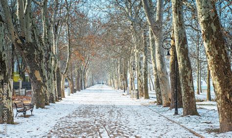 Pathway at lake Balaton in winter Stock Photo | Adobe Stock