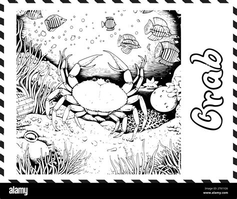 Yeti crab coloring page Stock Vector Images - Alamy