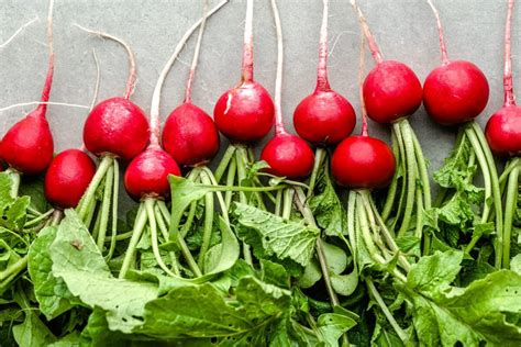 Radish Varieties for Your Winter Garden: A Flavorful Guide