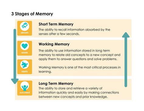 Understanding Working Memory Challenges - Dot It » Blog Archive