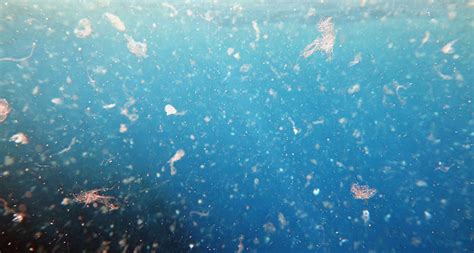 Tiny plastic debris is accumulating far beneath the ocean surface