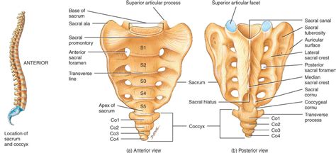 Pin on Study Tips