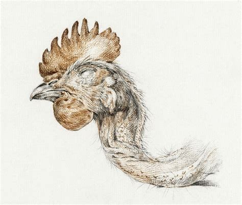 Head of a dead chicken | Free Photo Illustration - rawpixel