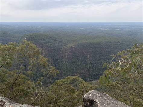 Best Mountain Biking Trails in Blue Mountains National Park | AllTrails