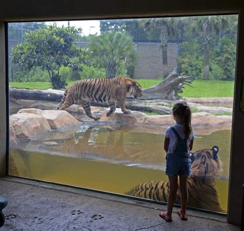 Consultants again urge BREC to consider relocating Baton Rouge Zoo from its off-the-beaten-track ...