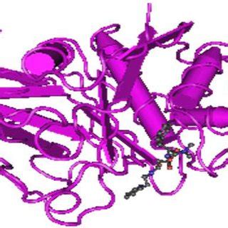 Papain structure (MMDB protein structure summary, 1CVZ) | Download ...