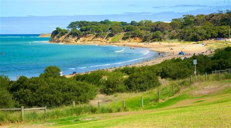 Torquay Travel Guide: Best of Torquay, Victoria Travel 2024 | Expedia.co.uk