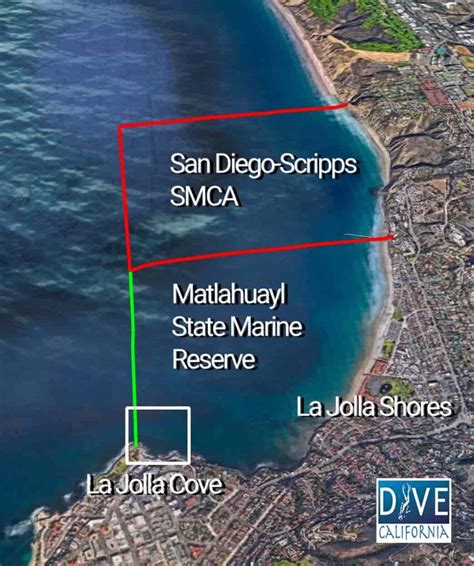 La Jolla Cove Scuba Diving: A Guide for Divers | Dive California