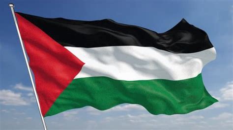 4k Palestine Flag Animated Background Features Stock Footage Video (100 ...