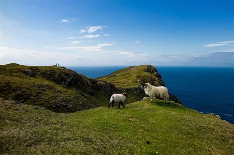 In pictures: The magnificent cliffs in Ireland that tourists don't tend to visit - Irish Star