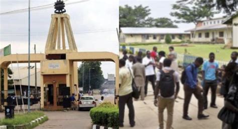 Ibadan Poly bans pregnant students, newborn babies from campus ...