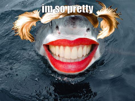 pretty shark | Sharks with human teeth, Shark, Human teeth