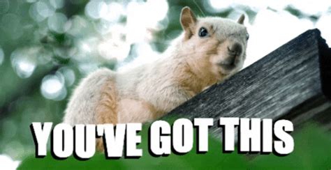 Lucky-the-squirrel GIFs - Get the best GIF on GIPHY