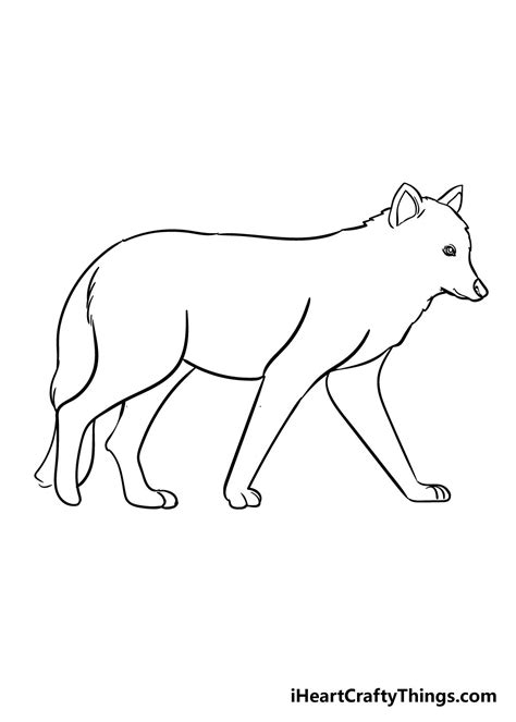 Wolf drawing for beginners - molqybig