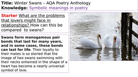 Winter Swans poem and winter writing task SEN | Teaching Resources