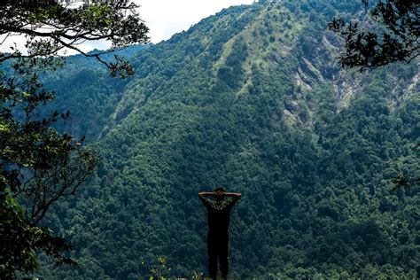 Agumbe Ghat: Everything You Need to Know - NATURE WALKERS