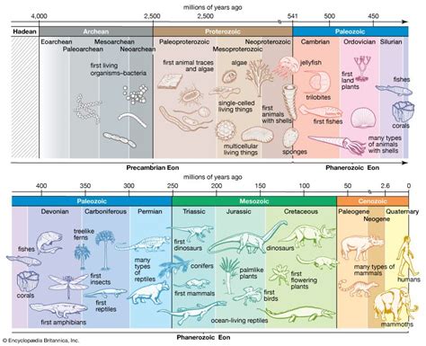 Prehistoric Life Cycle