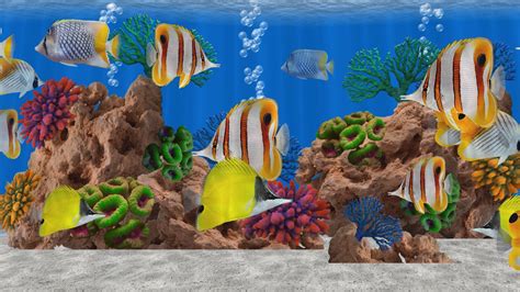 Aquarium Screensaver Windows 10 | peacecommission.kdsg.gov.ng