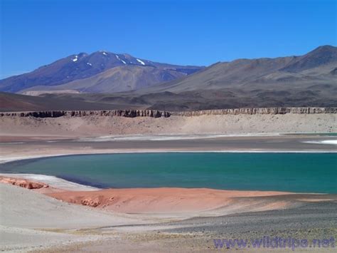 Curicó: top 10 attractions to visit - Discovering Chile