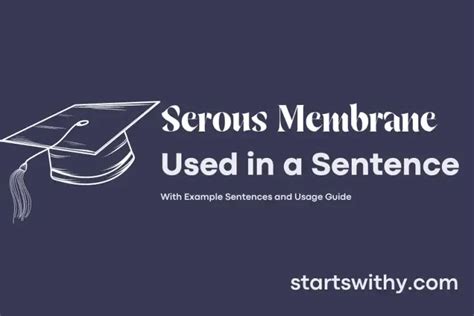 SEROUS MEMBRANE in a Sentence Examples: 21 Ways to Use Serous Membrane