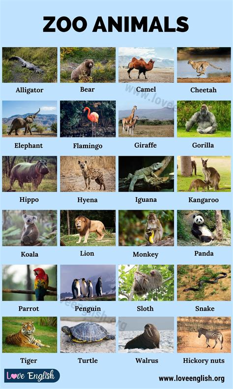 Top 197 + Wild animals name list - Inoticia.net