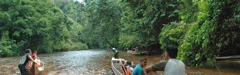 DuniaEnglish2: TASIK CHINI IS A TOURIST LOCATION