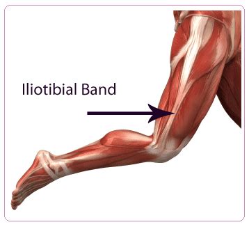 Iliotibial Band Anatomy