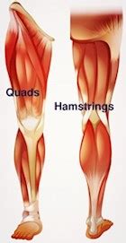 Keep your hamstrings strong for pain-free movement - Bone & Joint