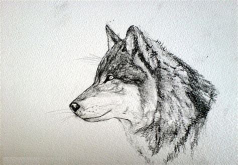 21+ wolf one line drawing - TrudieEthne