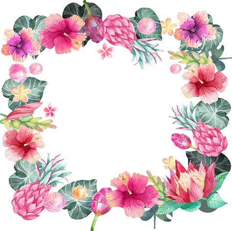 Free Hibiscus Frame Cliparts Download Free Hibiscus F - vrogue.co