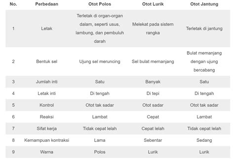 Perbedaan Otot Polos, Otot Lurik dan Otot Jantung