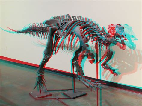 Here’s that ornithopod-skeleton anaglyph you ordered | Sauropod Vertebra Picture of the Week