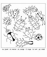 Coloriage Magique Syllabes Coccinelles Lecture Coloriages Magiques  sketch template
