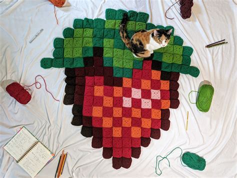 Strawberry Crochet Blanket Pattern Beginner Friendly Crochet - Etsy