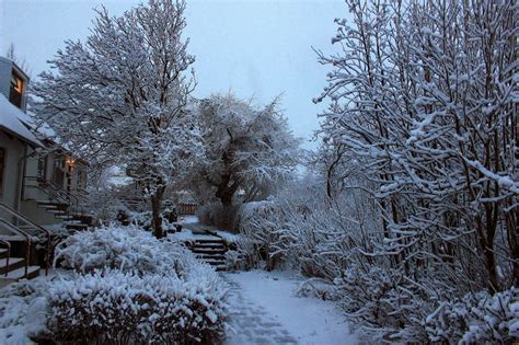 Iceland news and more,video and photos: Little bit of snow in Reykjavik,Iceland january 30 2014