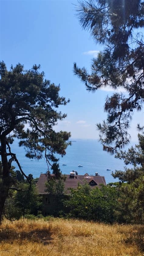 Büyükada / Islands Deniz Manzarası /Sea View #ıslands #adalar #istanbul #turkey #büyükada # ...