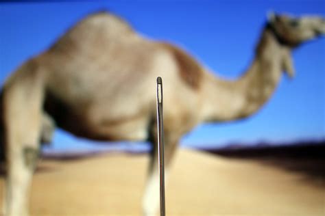 Eye Of A Needle Camel Verse : American standard version it is easier ...