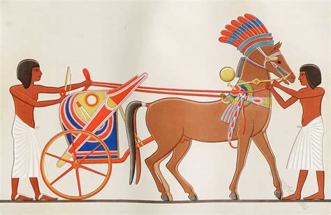 Chariot relating to a prince. Tell el-Amarna - 18th dynasty.