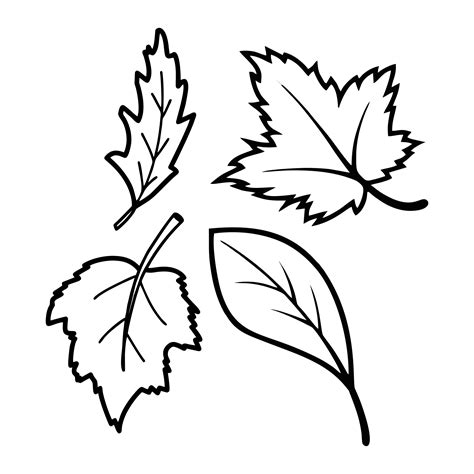 Fall Leaves Worksheets - 10 Free PDF Printables | Printablee